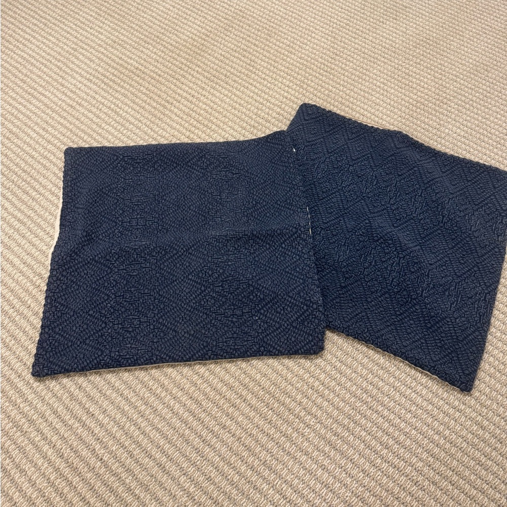 Pottery Barn pillow covers 20”